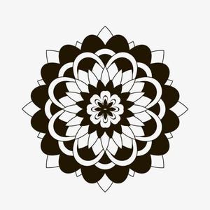 白月光