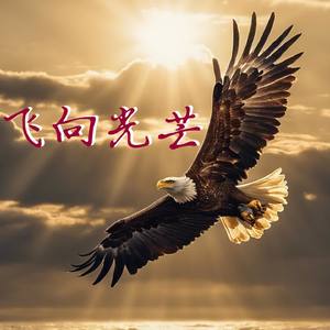 飞向光芒