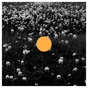 Smells Like Team Spirit