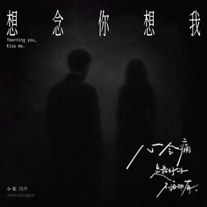 想念你想我