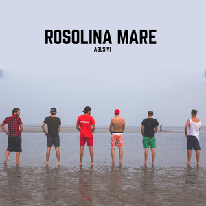 Rosolina mare