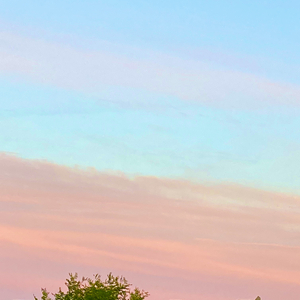 透（翻自 小盒纸酱）