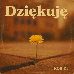 Dziękuję (Radio Edit)