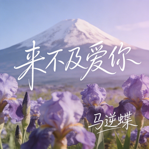 来不及爱你（原版)