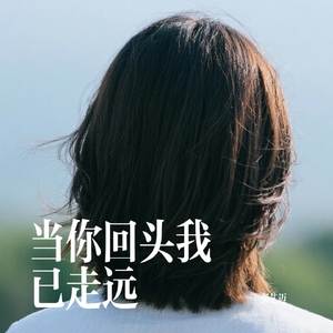 当你回头我已走远