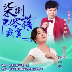 七零八落九寂寞【情歌对唱】