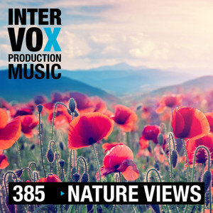 Yellow Green And Blue