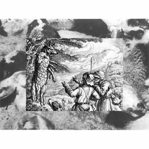 A Wolf In Sheep's Clothing.