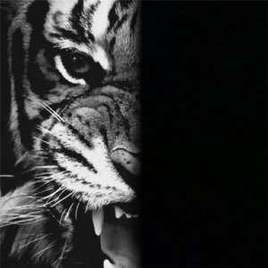 一字偷 (自动拾取忘了关)