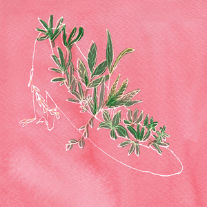 Stamina (Hanna Intro)