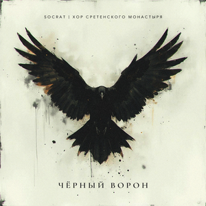 Чёрный ворон