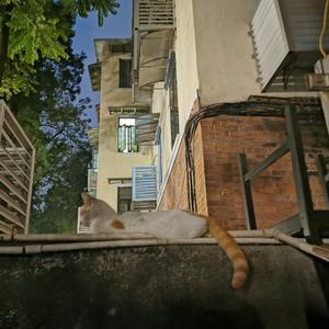 在九月结束的时候与你告别