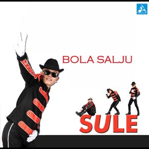 Bola Salju