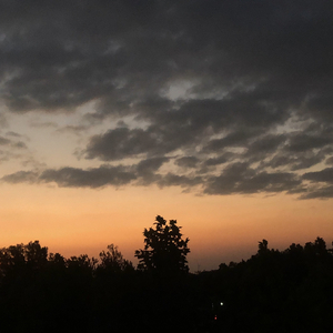 晚风 （Cover 陈婧霏）