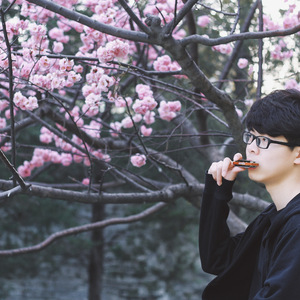 flower dance 口琴版