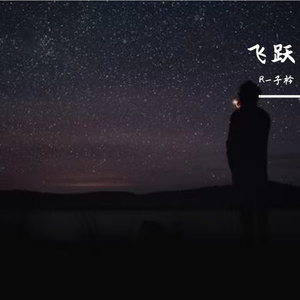 飞跃