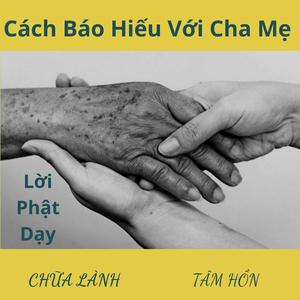 Cách Báo Hiếu Với Cha Mẹ Lời Phật Dạy