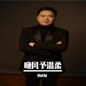 《晚风予温柔》 伴奏