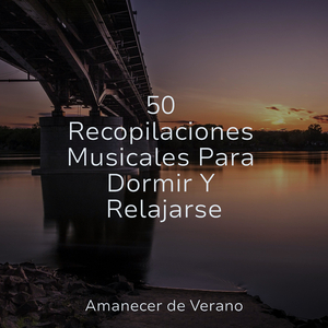 Consuelo Espectral en la Soledad