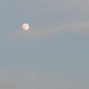 【FREE】"Let's Ride"