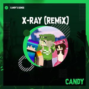 X-RAY (feat. AwesomeElina & Flauschi) (Remix)