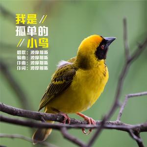 DJ舞曲 祝姑九点半 西庆