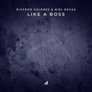 Like A Boss (Radio Edit)