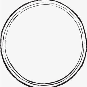 （521特辑）被圈住的人