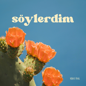 Söylerdim