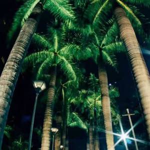 电音之王( ElectroMelbourne Rmx )