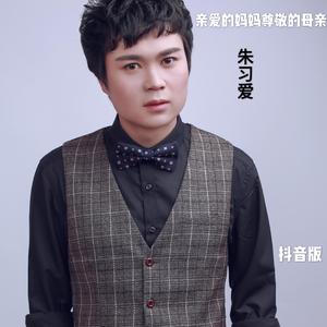 亲爱的妈妈尊敬的母亲（抖音完整版）