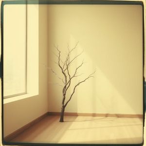 怎么人生 就这样过去了