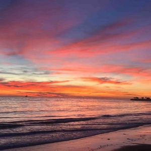 加利福尼亚的梦