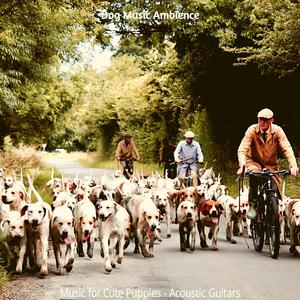 Hip Happy Dogs