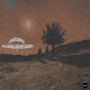 Deli Gönül Aşk Neylersin?