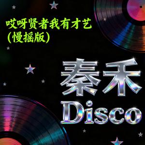 哎呀贤者我有才艺 (慢摇版)