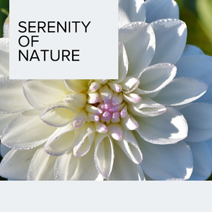 Gentle Breeze and Drizzle Ambiance