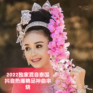 DJ国飞-2022独家混音泰国抖音热播精品神曲串烧（DJ国飞 remix）