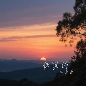 你说的 (Cover 洋澜一)