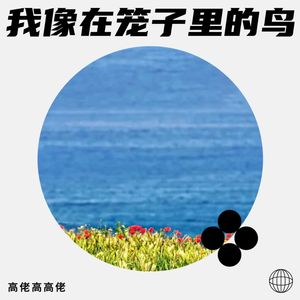 我像在笼子里的鸟
