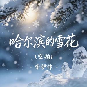 哈尔滨的雪花(空拍)