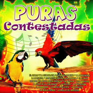 Contestacion al Pata Rajada