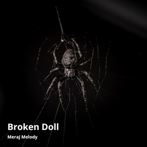 Broken Doll