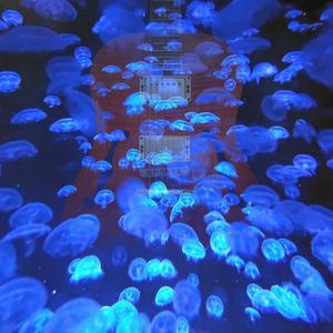 Musique Pretentieuse/A Message in the Stars