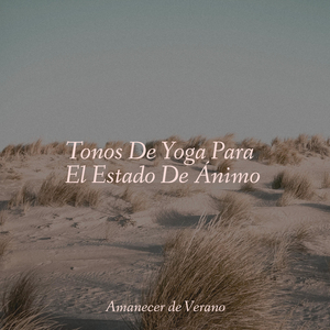 Vals del dosel iluminado por la luna