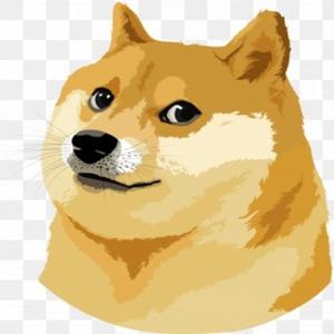 DogeCoin (feat. ibeshocker)