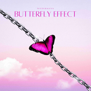 Butterfly Effect