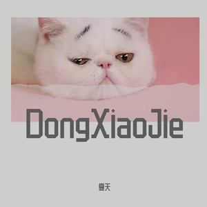 董小姐（Foik）.MP3（翻自 宋冬野）