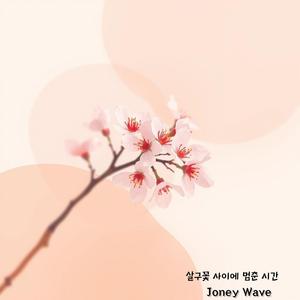 살구꽃 사이에 멈춘 시간