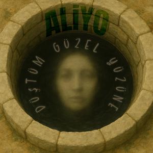 Düştüm Güzel Yüzüne